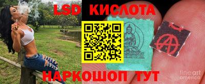 стаф Бузулук