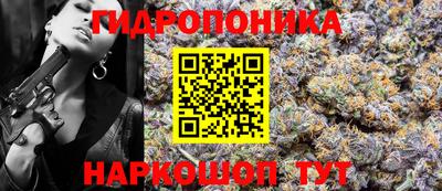 стаф Бузулук